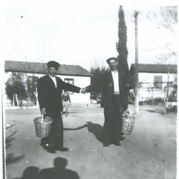 Germanika